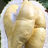 joker_duren83