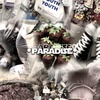 paradise_986