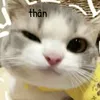 iamyvney
