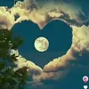 lauragamergirl12