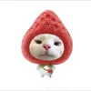 _thwyduong_