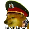 kkkhahahhihi
