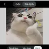 minh.huy325