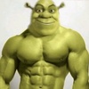 _shrekq_