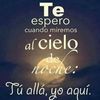 hernandezsolf