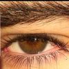 bs_arda123