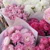 moonlightlove75