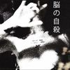 grimlvst