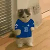 fanyeuthich23