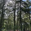 bukanbidadari003