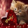 farawla470