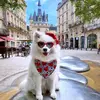 cocotravelingsamoyed