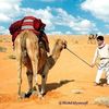a_al079