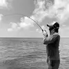 Know Fish Noah