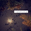 shab_l