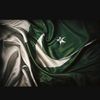 malikshahmeer51