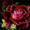 amal.muneer1