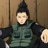 prim_thesavior