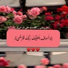 nourhanramadan88