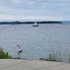 mn_1701