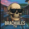 brachialesstudio