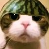ubigosong61