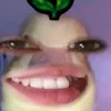 bnbiniynnaa