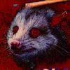 roseyedpossum