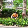 Nguyễn Giao Garden
