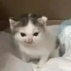 user.marciniarz