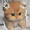 sulett_12