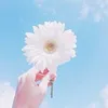 c0ngchuakhoc_nhe