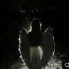 eeeryqip