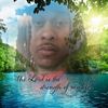 willwill360