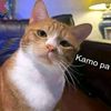 nami.r5