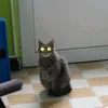 lopotitchaton