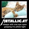 metallicati