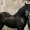 hidaya__6
