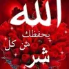 armilhamza