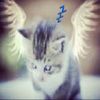 marink.ss0