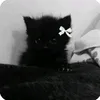 sivwrz