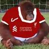 forzasimon62