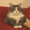 izmacat
