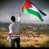 user8091196773021