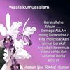 alawiah5858