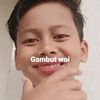 wahyudiandnafis0