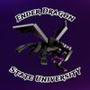 enderdragonstate