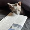 formula2cat