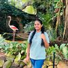 gihan__kashu___0