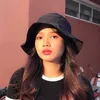 fern_gn